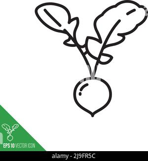 Globe radish root with leaves vegetable icon, outline style vector illustration Stock Vector