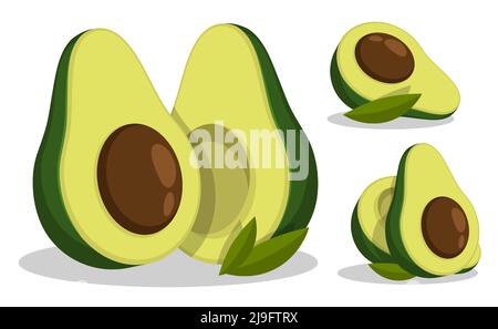 Avocado fruit whole and cut in half with pit in middle. Exotic fruit. Cartoon vector isolated on white background Stock Vector