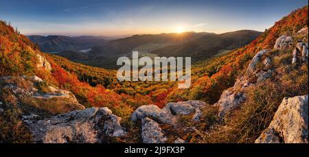 Majestic trees with sunny beams at mountain valley. Dramatic and picturesque morning scene. Red and yellow leaves. Warm toning effect. Carpathians,  S Stock Photo