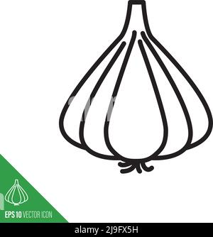 Garlic bulb vegetable icon, outlinestyle vector illustration Stock Vector