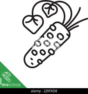 Wasabi root vegetable icon, rhizome and leaves, outline style vector illustration. Stock Vector