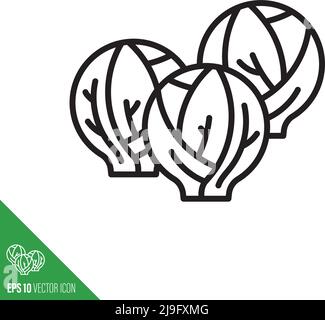 Brussels Sprouts cabbage vegetable icon, outline style vector illustration Stock Vector