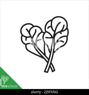 Chard leaves vegetable icon, outlinestyle vector illustration Stock Vector