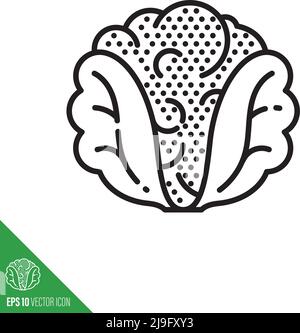 Cauliflower cabbage vegetable icon, outline tyle vector illustration Stock Vector