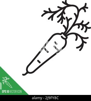 Orange carrot root vegetable icon, outline style vector illustration Stock Vector