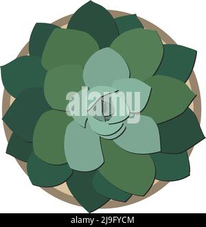above view of potted succulent plant, flat design vector illustration Stock Vector