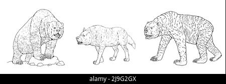 Prehistoric predators - cave bear, dire wolf and short-faced bear. Drawing with extinct predator. Coloring book with wolf and bear. Stock Photo
