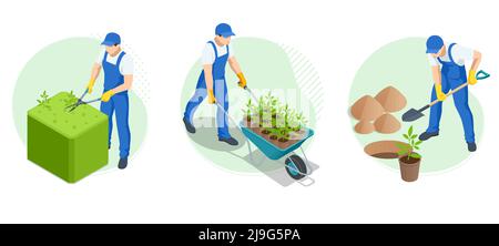Isometric Agricultural work. Isometric gardener work on shrub, remove excess leave. Gardener trimming and landscaping green bushes. Farmer with a Stock Vector