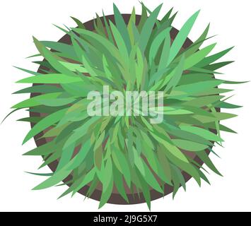 top down view of green potted plant, vector illustration Stock Vector