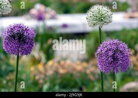 The Glade of Light, Manchester Stock Photo