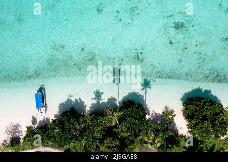 Drone point of view of tropical island Maiga with palm trees and turquoise colored sea in Semporna, Sabah, Borneo, Malaysia Stock Photo