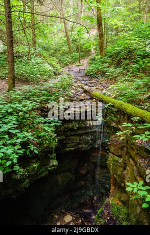 Sinkhole on Henson's Arch trail in Red River Gorge, Kentucky Stock Photo