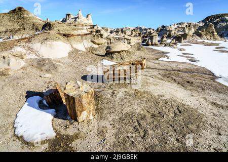 Pieces of petrified wood at Bisti De-Na-Zin Wilderness area in New Mexico in winter Stock Photo