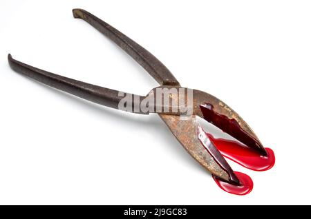 rusty cutter tongue with blood Stock Photo