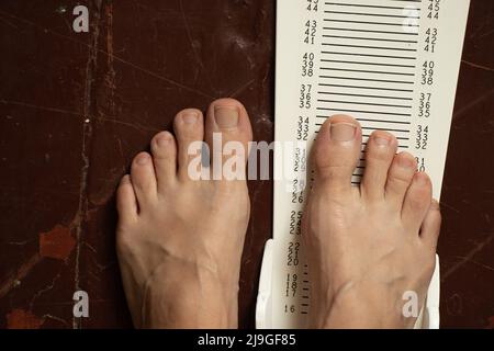 stopwatch for measuring leg length on a wooden floor, plastic leg length meter Stock Photo