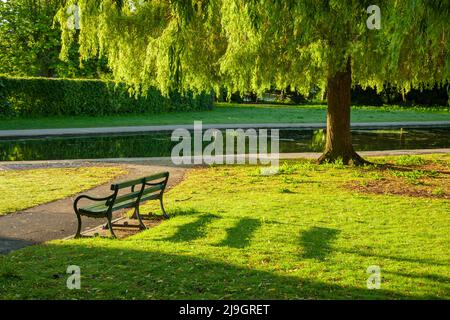 Spring morning at Rowntree Park in York, England. Stock Photo