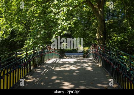 Dortmund, North Rhine-Westphalia, Germany - Rombergpark. Walk across a bridge in Rombergpark Botanical Garden. Stock Photo