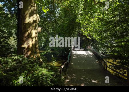 Dortmund, North Rhine-Westphalia, Germany - Rombergpark. Walk across a bridge in Rombergpark Botanical Garden. Stock Photo