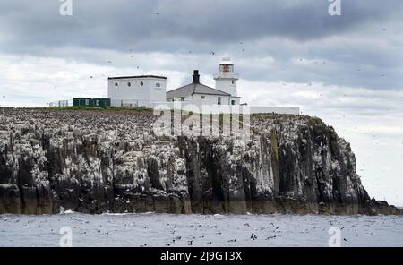 National Trust staff undertake the now annual puffin census on the remote Farne Islands in Northumberland. The census was changed from five yearly to annually in 2019 due to climate change which is causing a decline in readily available food for the birds. Picture date: Sunday May 22, 2022. Stock Photo