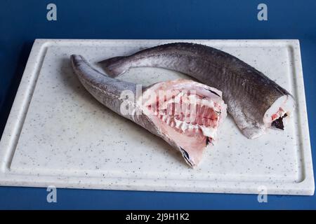 Two pieces of clean headless fresh whole Line-caught hake on a white cutting board in colorful blue studio background. Food market and fish. Stock Photo