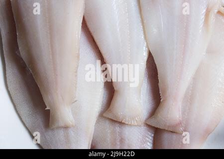 Detail of raw megrim fish tails on a white plate. Stock Photo