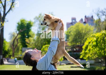 A girl holding dog over her head. A girl plays with her corgi puppy on a green lawn on a sunny day. Stock Photo