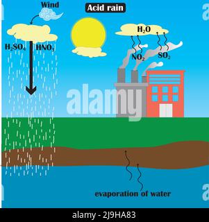 Share more than 71 acid rain sketch best - seven.edu.vn