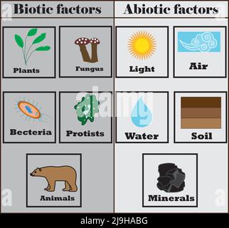 biotic factor definition