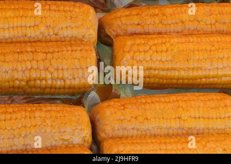 organic cobs cooked and packed with cellophane ready to be sold in the supermarket Stock Photo