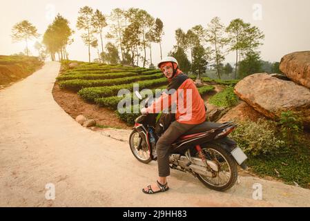 Tourist on the motorbike near tea plantations in the mountains of Northen Vietnam on sunset Stock Photo