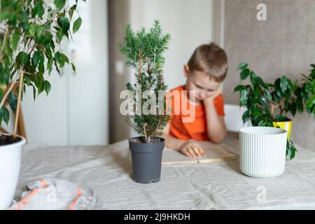 Boy with hand on chin reading by plants at home Stock Photo