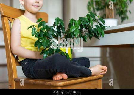 Smiling boy holding houseplant sitting on chair at home Stock Photo