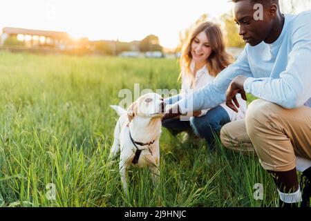 Happy young couple with dog in nature Stock Photo