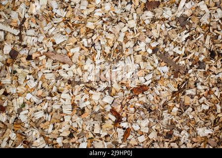 Close-up of a layer of sawdust from freshly sawn trees. Wood sawing waste used for heating. Stock Photo