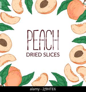 Hand drawn peach design. Vector illustration in sketch style Stock Vector