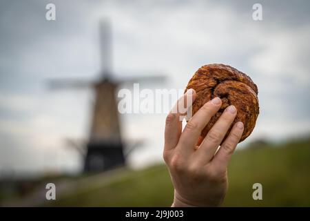 Traditional dutch pastry called Zeeuwse Bolus on blurred background with a windmill Stock Photo