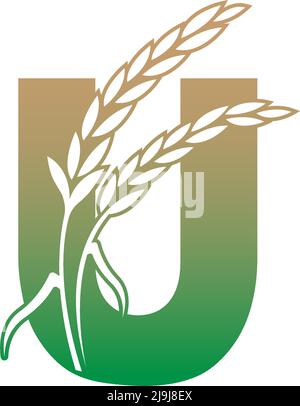 Letter U with rice plant icon illustration template vector Stock Vector