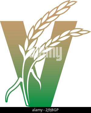 Letter V with rice plant icon illustration template vector Stock Vector
