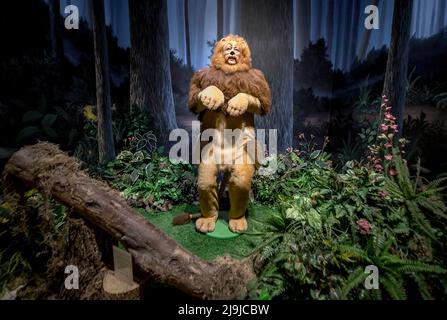 Wamego, Kansas, USA. 23rd May, 2022. The Oz Museum features over 2,000 artifacts of the Oz mini-industry spawned by the L. Frank Baum Oz books and the classic, much-loved 1939 MGM musical, 'The Wizard of Oz.(Credit Image: © Brian Cahn/ZUMA Press Wire) Stock Photo