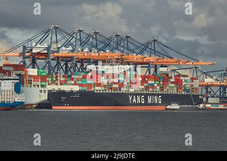 Loading containers on a ship Stock Photo