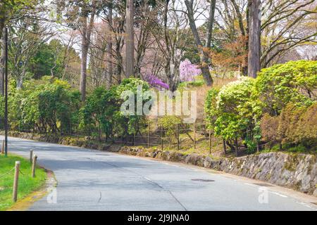 The Shrine street Leading Through Hakone town in Kanagawa prefecture, Japan. Stock Photo