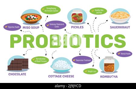 Probiotics and health concept with food and bacteria symbols flat vector illustration Stock Vector