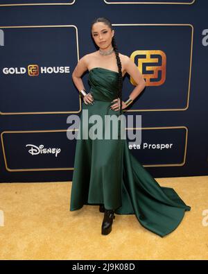 Valkyrae hi-res stock photography and images - Alamy Valkyrae hi-res stock photography and images - Alamy