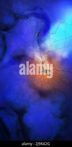 Synapse connections. Structure that permits a neuron or nerve cell to pass an electrical or chemical signal to another neuron. Brain. Neural network Stock Photo