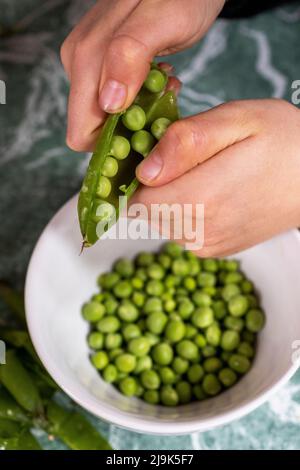 Close up hands of boy shelling fresh green peas Stock Photo