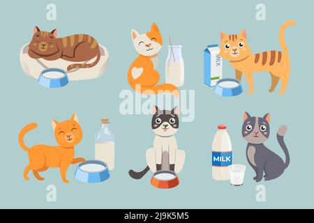 Cute cat cartoon characters with milk vector illustrations set. Comic domestic animals drinking milk or water from bowls, bottles and cartons of milk Stock Vector