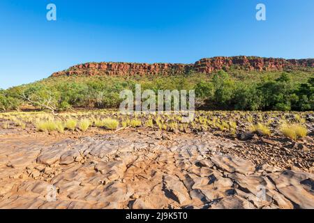 Scenic view of the dry Victoria River creekbed, Gregory National Park, Northern Territory, NT, Australia Stock Photo