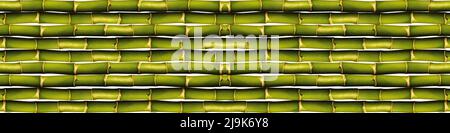 Green bamboo seamless wall and fence texture, green bamboo background Stock Photo