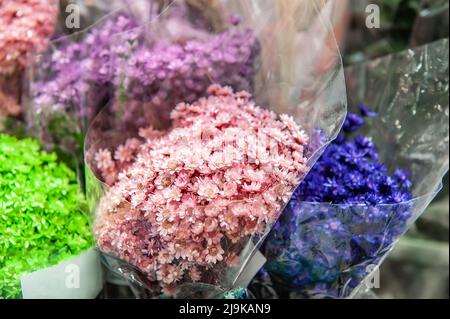 multicolored dried flowers, dry flowers in the workspace of the florist. scent flowers for future compositions. colorful dry plants Stock Photo