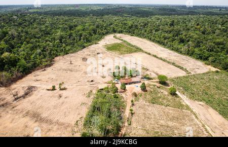 Deforestation of the Amazon rainforest. Patch of forest land cleared of vegetation for agricultural purposes. Environment, ecology, climate concepts. Stock Photo